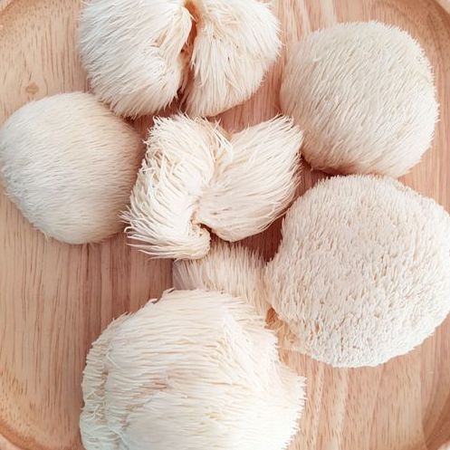 Medicinal Mushroom, Chaga, Reishi, Cordyceps, Lions Mane, Immunity, Health, Supplements