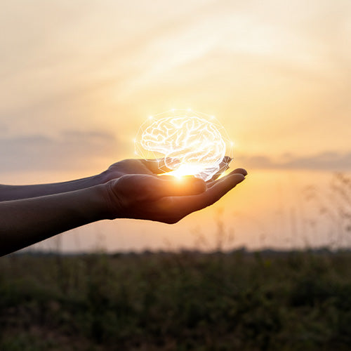 Unlocking Brain Power: Nootropics and Mushroom Capsules Explored