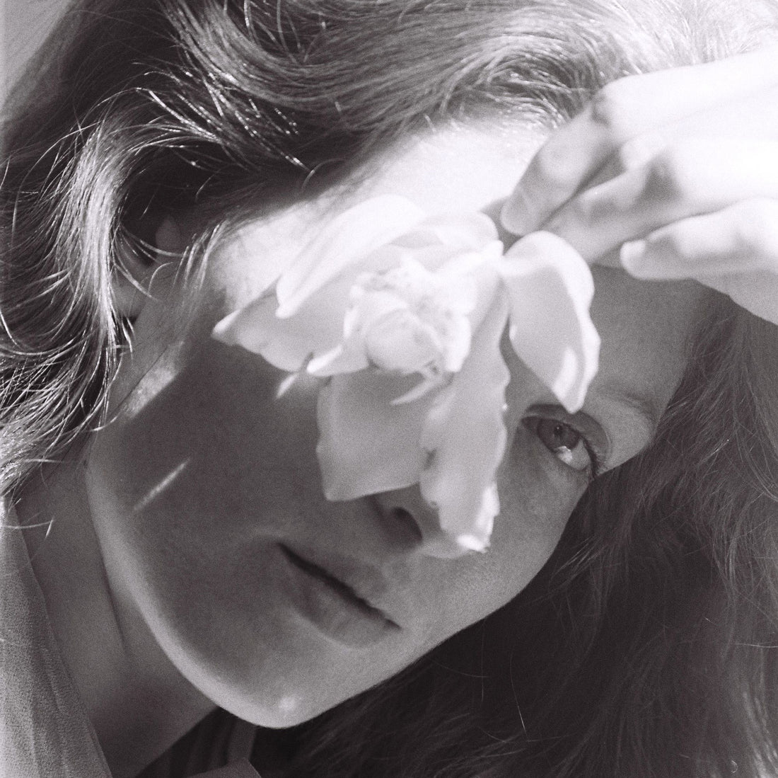 Skin Concerns Adult Hormonal Acne Hormone Balance Weight Control Natural Herbs Supplement Healing Local Brand The Olio Store Online South Africa