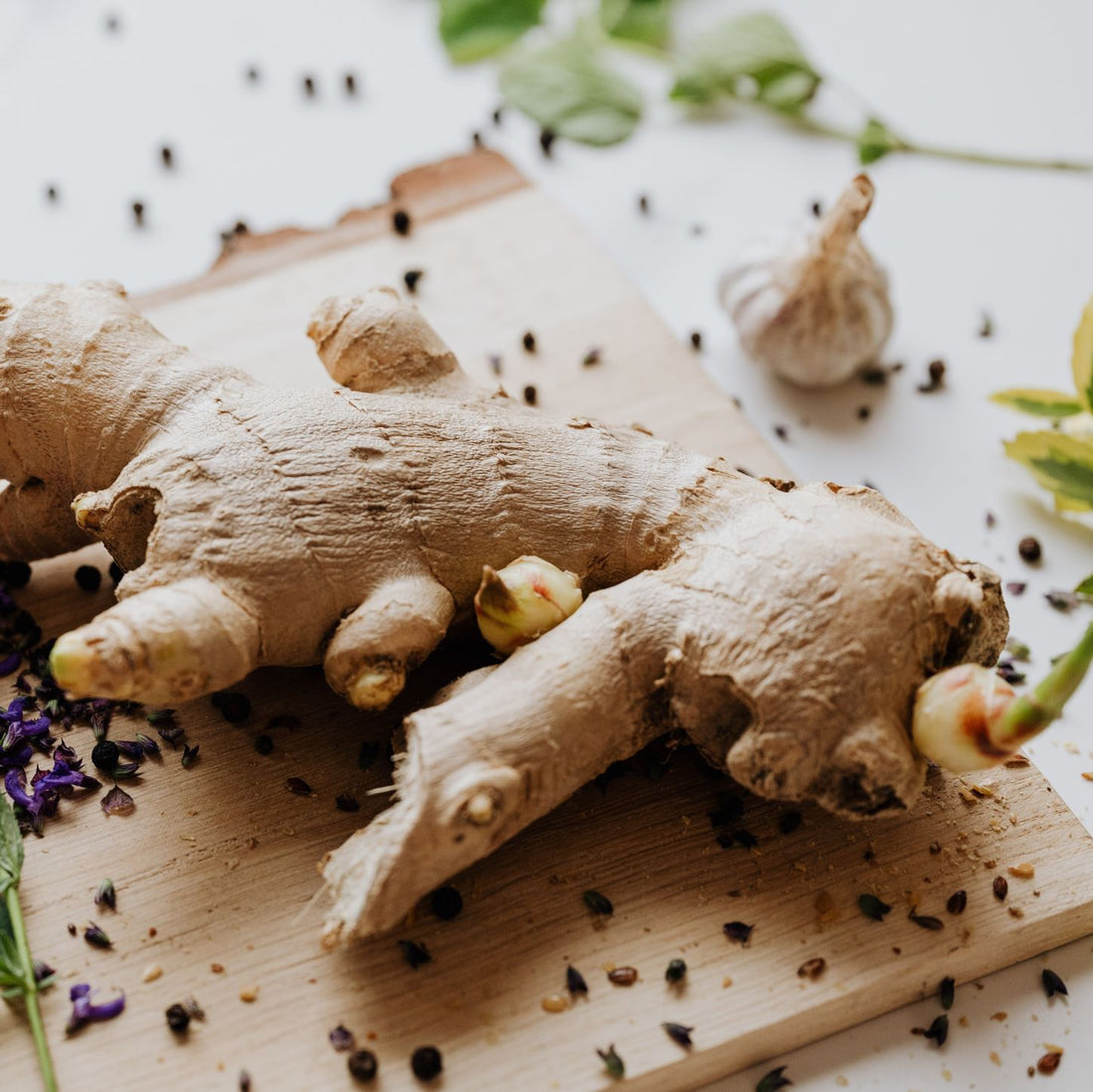 Ginger Root Extract Natural Supplement The Olio Store Online South Africa Health And Wellness 