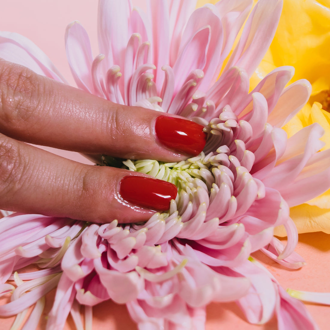 Sexual Health & Wellness Libido Him Her Lubricant Natural Foreplay Benefits Immune Boost Hormone Balance Erectile Dysfunction Mood Booster Online The Olio Store South Africa