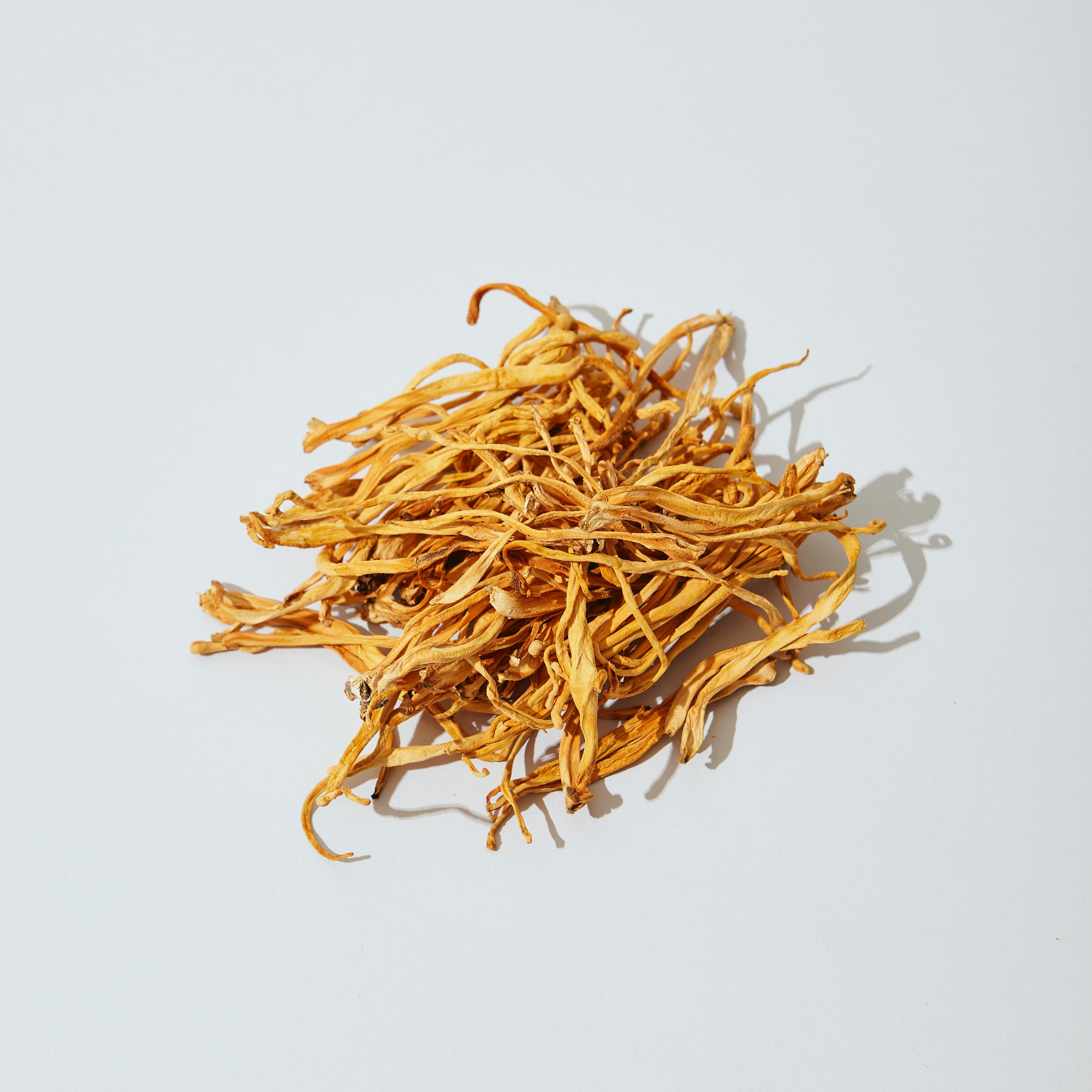 Mushroom Extract Supplement Nutrients Lions Mane Cordyceps Chaga Reishi Health and Wellness Plant Based Medicine Gut Health Brain Memory Focus Energy Sleep The Olio Store Online South Africa