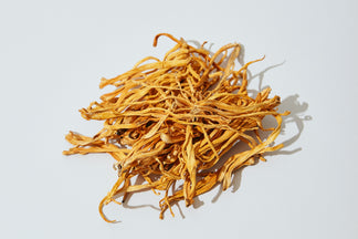 Cordyceps is a Health Powerhouse!