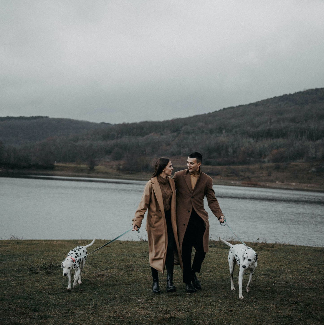 Animals Pets Dog Cat Fur Baby Toy Bored Scratch Bite Play Happy Pet Exercise Bonding Ball App Interactive The Olio Store Online South Africa