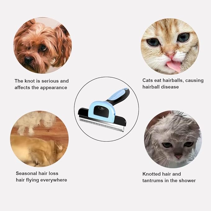 Pure Oil - 600mg - Wellness and Health Online Shop South Africa - The Oliō Store