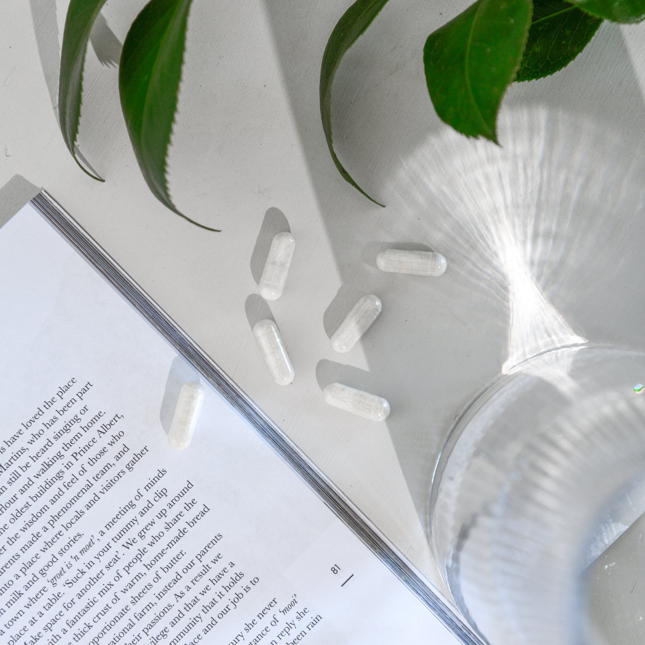 Para-Fend - Wellness and Health Online Shop South Africa - The Oliō Store