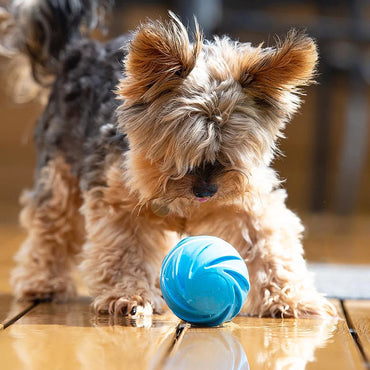 Cyclone Ball - Interactive Dog Toy (In Cyclone Blue Style)