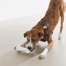 Load image into Gallery viewer, Smart Bone - Interactive Dog Toy (In White) - The Oliō Store