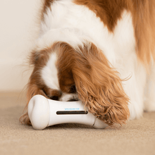 Load image into Gallery viewer, Smart Bone - Interactive Dog Toy (In White) - The Oliō Store