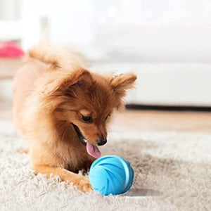 Cyclone Ball - Interactive Dog Toy (In Cyclone Blue Style) - The Oliō Store